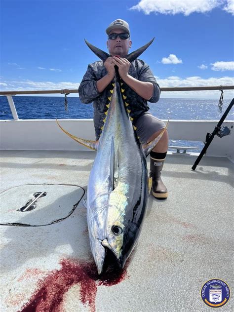 976-tuna|976 tuna fishing reports fish.